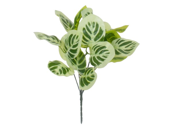 GloboStar® WHITE PEPEROMIA 78276 Τεχνητό Φυτό Πεπερόμια Λευκή - Μπουκέτο Διακοσμητικών Φυτών - Κλαδιών με Φύλλωμα Πράσινο - Λευκό Υ33cm GloboStar® WHITE PEPEROMIA 78276 Τεχνητό Φυτό Πεπερόμια Λευκή - Μπουκέτο Διακοσμητικών Φυτών - Κλαδιών με Φύλλωμα Πράσινο - Λευκό Υ33cm