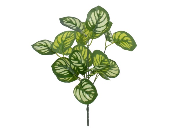 GloboStar® GREEN PEPEROMIA 78286 Τεχνητό Φυτό Πεπερόμια Πράσινη - Μπουκέτο Διακοσμητικών Φυτών - Κλαδιών με Φύλλωμα Πράσινο - Λευκό Υ33cm