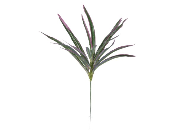 GloboStar® DRACAENA PURPLE 78294 Τεχνητό Φυτό Δράκαινα Μωβ - Μπουκέτο Διακοσμητικών Φυτών - Κλαδιών με Φύλλωμα Πράσινο - Μωβ Υ45cm GloboStar® DRACAENA PURPLE 78294 Τεχνητό Φυτό Δράκαινα Μωβ - Μπουκέτο Διακοσμητικών Φυτών - Κλαδιών με Φύλλωμα Πράσινο - Μωβ Υ45cm
