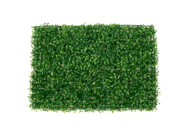 GLOBOSTAR® BUXUS 78417 Τεχνητό Πάνελ Φυλλωσιάς / Κάθετος Κήπος Μικρόφυλλο Πυξάρι - Πράσινο - Μ60 x Π4 x Υ40cm GLOBOSTAR® BUXUS 78417 Τεχνητό Πάνελ Φυλλωσιάς / Κάθετος Κήπος Μικρόφυλλο Πυξάρι - Πράσινο - Μ60 x Π4 x Υ40cm