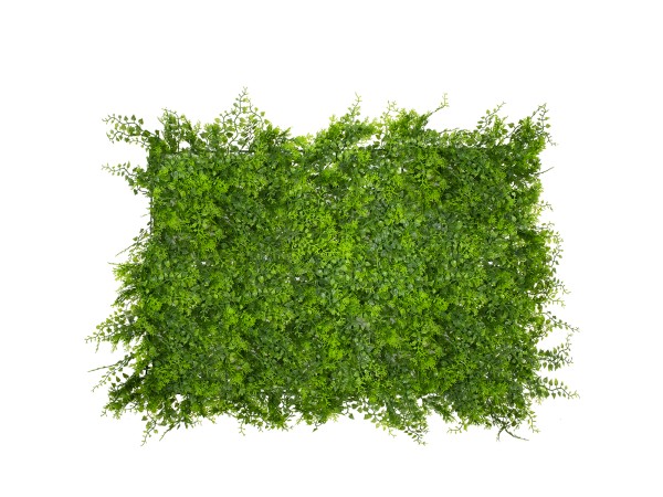 GLOBOSTAR® LEYLAND 78418 Τεχνητό Πάνελ Φυλλωσιάς Κάθετος Κήπος Λέιλαντ/Νάνος Κισσός - Πράσινο - Μ60 x Π9 x Υ40cm