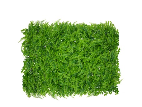 GloboStar® 78419 Artificial - Συνθετικό Τεχνητό Διακοσμητικό Πάνελ Φυλλωσιάς - Κάθετος Κήπος Καυκάσιο Πυξάρι - Φτέρη - Λυσιμαχία Πράσινο Μ60 x Υ40 x Π9cm