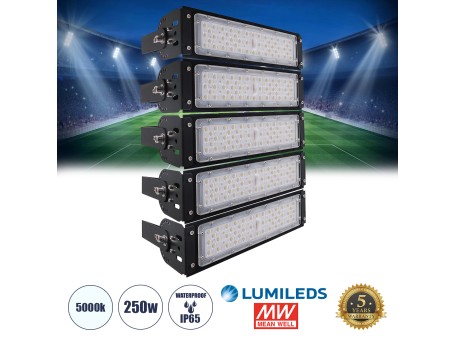 GLOBOSTAR® GOLIATH 90100-5 Προβολέας για Γήπεδα Tennis & Ποδοσφαίρου 5x5 LED 250W 37500lm 75°x135° SDCM<5 Fish Eye Lens AC 220-240V Αδιάβροχο IP65 IK08 Φυσικό Λευκό 5000K - Lumileds SMD Chip & Mean Well Driver - Μαύρο Ματ - Μ32 x Π12 x Υ45cm - 5 Χρόνια Εγ