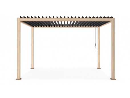 Κιόσκι Ocean Μεταλλικό Μαύρο/Καφέ 300x400x250 εκ. - Μαύρο