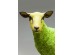 Διακοσμητική φιγούρα Πρόβατο Πράσινο (PL) 49x21x59.5 εκ. - Πράσινο