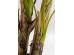 Φυτό Palm Tree Πράσινο 190 εκ. - Πράσινο Φυτό Palm Tree Πράσινο 190 εκ. - Πράσινο