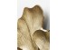 Διακοσμητικό Τοίχου Ginkgo Φύλλο Μεγάλο Χρυσό Μεταλλικό 66 εκ. 72x4x66εκ - Χρυσό