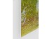 Γυάλινος Πίνακας Φθινοπωρινά Δέντρα Πράσινο-Κόκκινο  160x0.4x120εκ