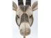 Διακοσμητικό Κεφάλι Αντιλόπης Με Πέρλες Μαύρο-Χρυσό 78.5 εκ. 43x18x78.5 εκ. - Μπεζ Διακοσμητικό Κεφάλι Αντιλόπης Με Πέρλες Μαύρο-Χρυσό 78.5 εκ. 43x18x78.5 εκ. - Μπεζ