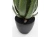 Τεχνητό Φυτό Aloe Πράσινο 20x20x69 εκ. - Πράσινο Τεχνητό Φυτό Aloe Πράσινο 20x20x69 εκ. - Πράσινο