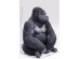 Διακοσμητικός Γορίλας Μαύρος XL Ακρυλικό 60x55x76 εκ. - Γκρι