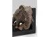 Βιβλιοστάτες Ελέφαντες Μαύρο-Γκρι 42x47x36 εκ. (PL) KARE DESIGNxxεκ - Γκρι