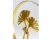 Διακοσμητικό Ginkgo Χρυσό 25x8x34 εκ Διακοσμητικό Ginkgo Χρυσό 25x8x34 εκ