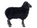 Διακοσμητικό Πρόβατο Bathilde Μαύρο 54εκ. - Μαύρο Διακοσμητικό Πρόβατο Bathilde Μαύρο 54εκ. - Μαύρο