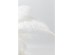 Επιτραπέζιο Φωτιστικό  Feather Palm Λευκό 50x50x60εκ. Ε27 - Λευκό