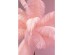 Φωτιστικό Δαπέδου Feather Palm Ροζ 65 x 65 x 165 εκ.Ε27 - Χρυσό Φωτιστικό Δαπέδου Feather Palm Ροζ 65 x 65 x 165 εκ.Ε27 - Χρυσό