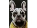 Πίνακας Noble Dog Γυάλινος 40x0,4x60 εκ. - Μαύρο