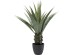 Διακοσμητικό Φυτό Agave Πράσινο 85x20x20εκ. - Πράσινο Διακοσμητικό Φυτό Agave Πράσινο 85x20x20εκ. - Πράσινο