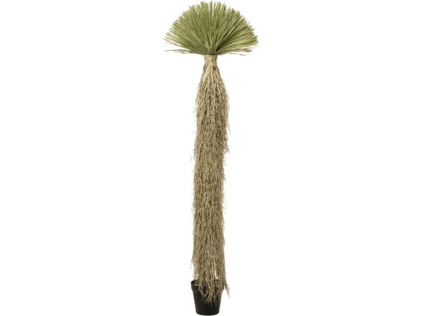 Τεχνητό Φυτό  Yucca Rostrata Πράσινο 75*75*240εκ. - Πράσινο