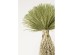 Τεχνητό Φυτό  Yucca Rostrata Πράσινο 75*75*240εκ. - Πράσινο