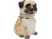 Δοχείο Σκύλος Jar Pug 18*14*24εκ. - Καφέ Δοχείο Σκύλος Jar Pug 18*14*24εκ. - Καφέ