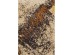 Χαλί Dust Καφέ/Μπεζ  200x300x2εκ. - Μπεζ