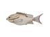 Διακοσμητικό Τοίχου  Fishy Μπεζ 40*4*15εκ. - Μπεζ