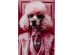 Glass Picture Pink Poodle 80x120cm - Ροζ