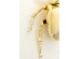 Wall Decoration Stag Beetle Gold 41cm - Χρυσό