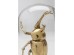 Διακοσμητικό Επιτραπέζιο Bell Jar Stag Beetle Χρυσό 13*13*20εκ. - Χρυσό