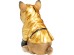 Διακοσμητικό Επιτραπέζιο Κουμπαράς  Boxing Dog Χρυσός 22*16*26εκ. - Μαύρο