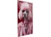 Πίνακας Γυάλινος  Pink Poodle Ροζ 40x0.4x50εκ. - Ροζ