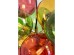 Φωτιστικό Οροφής Scala Balls Γυαλί Πολύχρωμο 124*50*160εκ. - Πολύχρωμο Φωτιστικό Οροφής Scala Balls Γυαλί Πολύχρωμο 124*50*160εκ. - Πολύχρωμο