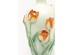 Βάζο Poppies Κεραμικό Πολύχρωμο 23*23*48εκ. - Πολύχρωμο