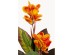 Τεχνητό Φυτό  Canna Lily Πράσινο 45*45*115εκ. - Πράσινο