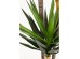Τεχνητό Φυτό Yukka Πράσινο 70*70*250εκ. - Πράσινο