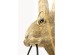 Φωτιστικό Τοίχου Animal Rabbit Κεραμικό Χρυσό 21*19.5*45.5εκ. - Ροζ Φωτιστικό Τοίχου Animal Rabbit Κεραμικό Χρυσό 21*19.5*45.5εκ. - Ροζ