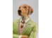 Διακοσμητικό Επιτραπέζιο Gentleman Dog Κεραμικό Πράσινο 16.5x15x51εκ. - Πράσινο Διακοσμητικό Επιτραπέζιο Gentleman Dog Κεραμικό Πράσινο 16.5x15x51εκ. - Πράσινο