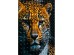 Πίνακας Καμβάς Mister Leopard Μαύρος 50x3x70εκ. - Μαύρο Πίνακας Καμβάς Mister Leopard Μαύρος 50x3x70εκ. - Μαύρο