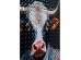 Πίνακας Καμβάς Mister Bull Πολύχρωμος 50x3x70εκ. - Πολύχρωμο Πίνακας Καμβάς Mister Bull Πολύχρωμος 50x3x70εκ. - Πολύχρωμο