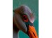 Πίνακας Καμβάς Mister Flamingo Πράσινος 45x2.5x60εκ. - Πολύχρωμο Πίνακας Καμβάς Mister Flamingo Πράσινος 45x2.5x60εκ. - Πολύχρωμο