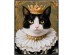 Πίνακας Καμβάς  Prinzess Cat Μαύρη 40x2.5x50εκ. - Μαύρο
