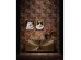 Πίνακας Καμβάς  Prinzess Cat Μαύρη 40x2.5x50εκ. - Μαύρο