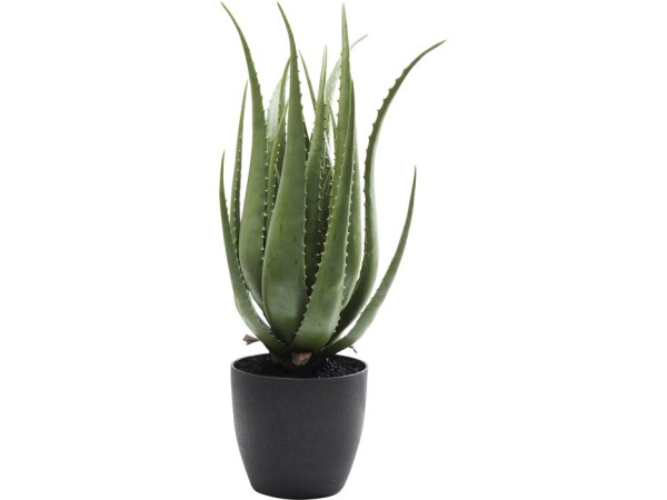Τεχνητό Φυτό Aloe Πράσινο 20x20x69 εκ. - Πράσινο Τεχνητό Φυτό Aloe Πράσινο 20x20x69 εκ. - Πράσινο