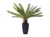 Διακοσμητικό Φυτό Cycas Tree Πράσινο 40x20x78 εκ. - Πράσινο Διακοσμητικό Φυτό Cycas Tree Πράσινο 40x20x78 εκ. - Πράσινο