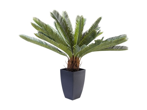 Διακοσμητικό Φυτό Cycas Tree Πράσινο 40x20x78 εκ. - Πράσινο Διακοσμητικό Φυτό Cycas Tree Πράσινο 40x20x78 εκ. - Πράσινο