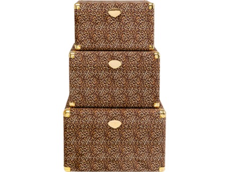 Μπαούλα  Wild Animal Leo (3/Set)Καφέ  55*36*36εκ. - Καφέ