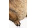 Τραπέζι Βοηθητικό  Animal Capybara 36.5x31.5x51.5εκ. - Καφέ
