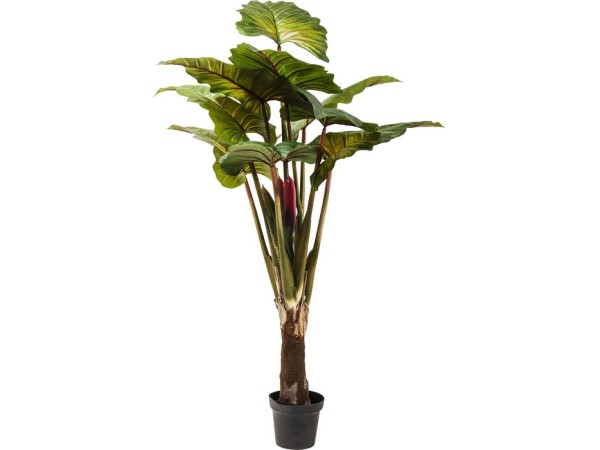 Διακοσμητικό Φυτό Rainforest Πράσινο 160 εκ. - Πράσινο Διακοσμητικό Φυτό Rainforest Πράσινο 160 εκ. - Πράσινο