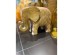 AFRICANA 1 ΔΙΑΚΟΣΜΗΤΙΚΟ ΕΛΕΦΑΝΤΑΣ 25x11x18cm POLYRESIN ΚΙΤΡΙΝΟ AFRICANA 1 ΔΙΑΚΟΣΜΗΤΙΚΟ ΕΛΕΦΑΝΤΑΣ 25x11x18cm POLYRESIN ΚΙΤΡΙΝΟ
